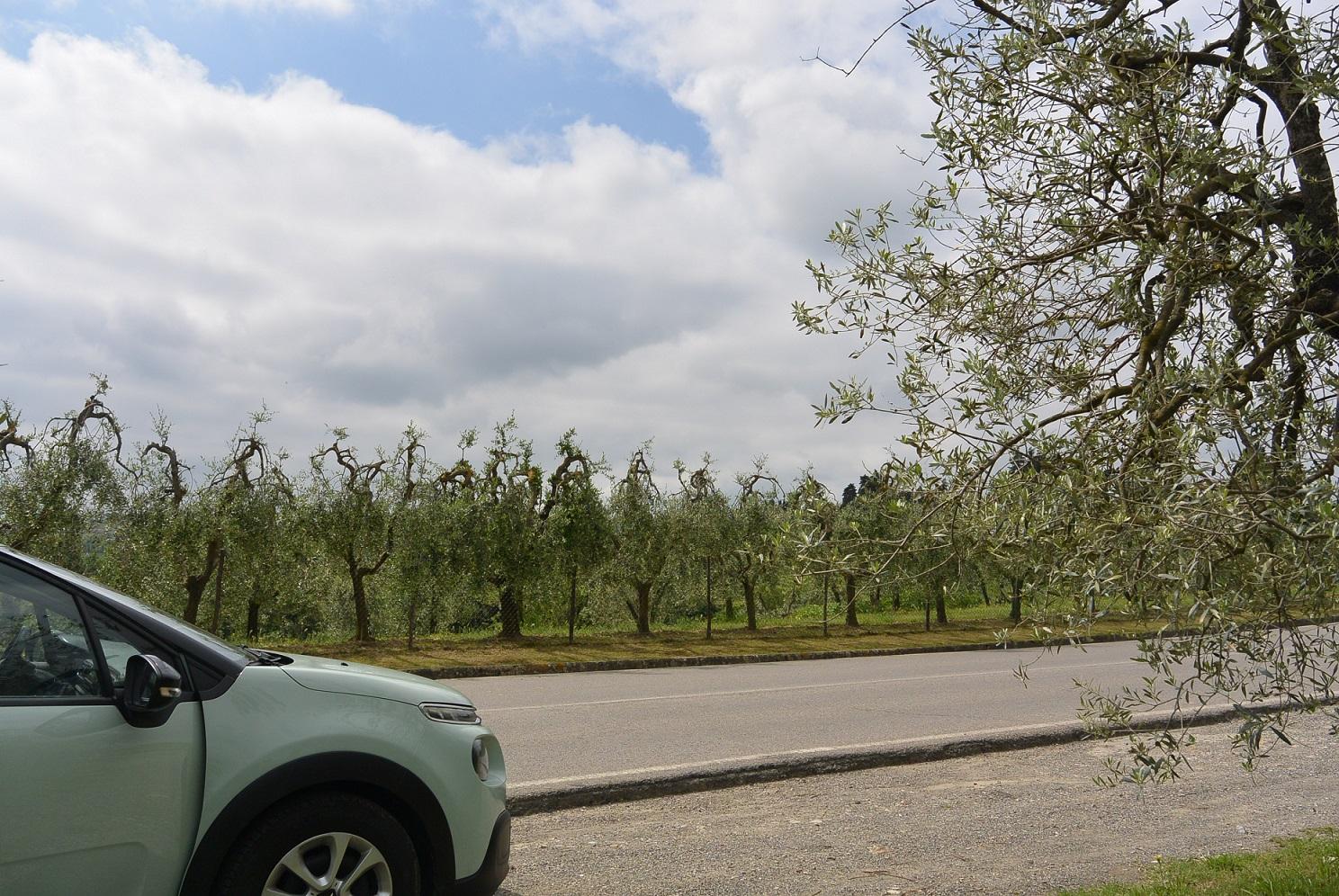 car_on_the_road