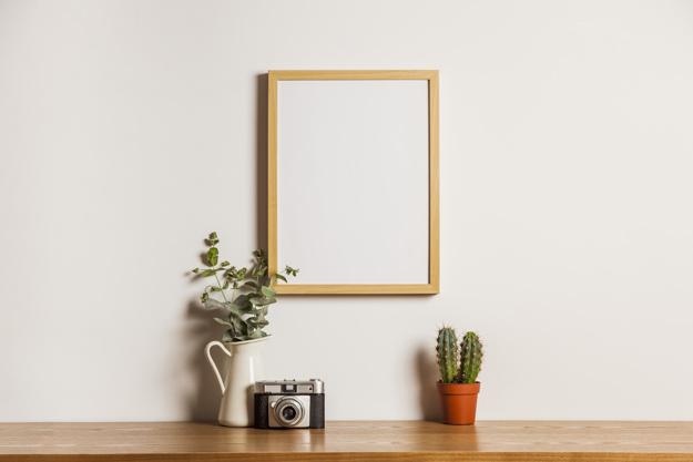 a_blank_photo_frame_and_plants