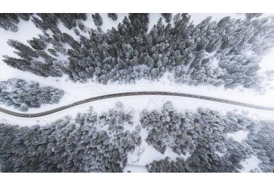 birds_eye_view_of_a_road_through_a_snowy_forest